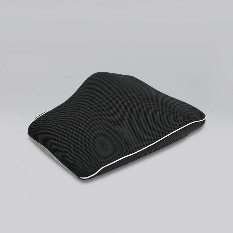 Spirabile et aptavit Lumborum Cushion